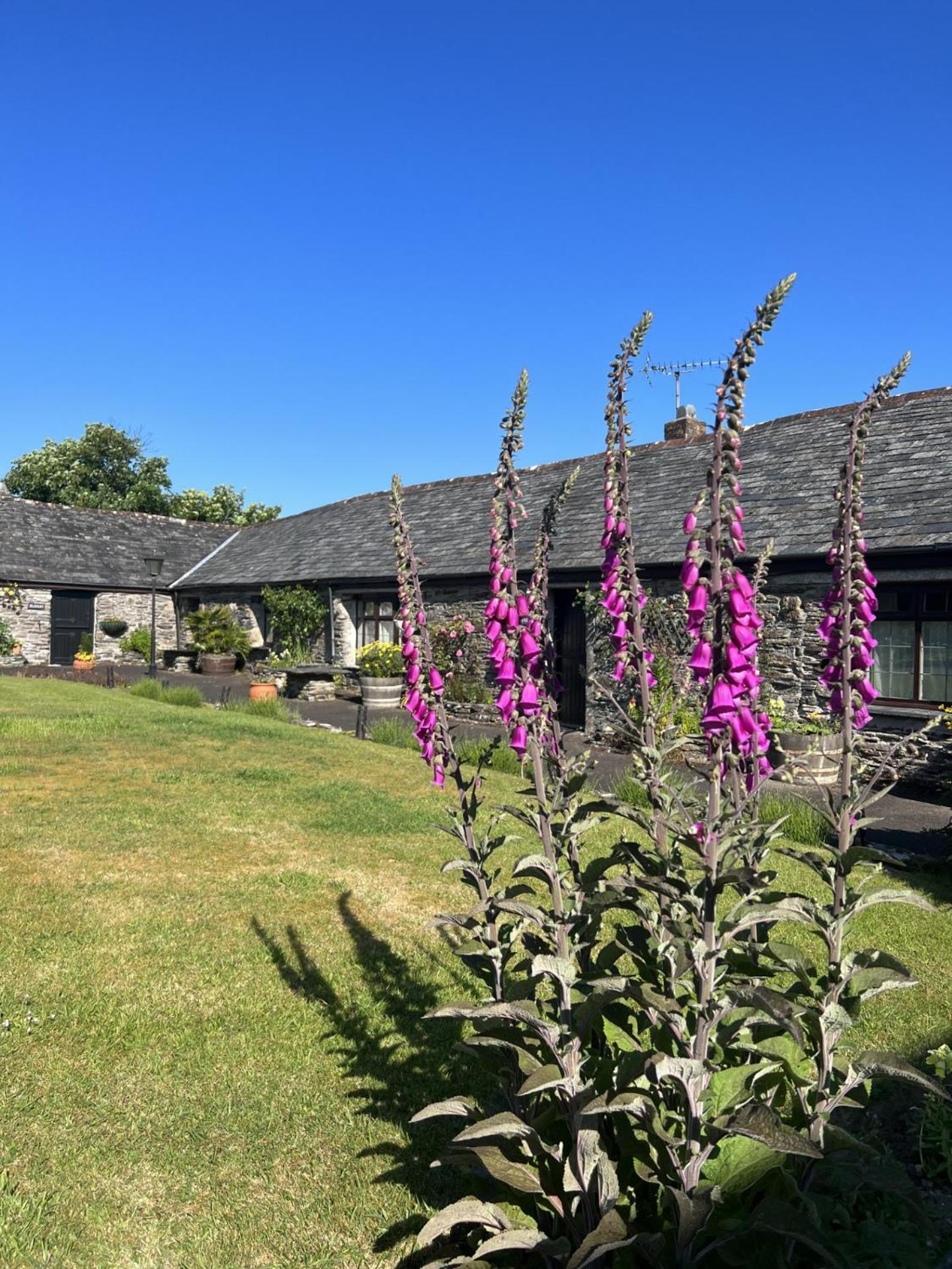 Courtyard Farm Cottages บอสคาสเซิล ภายนอก รูปภาพ