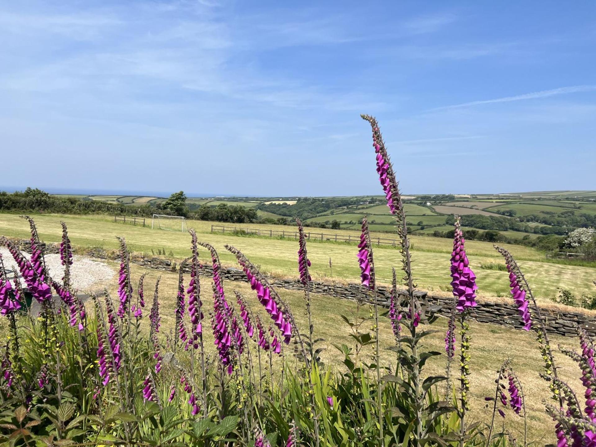Courtyard Farm Cottages บอสคาสเซิล ภายนอก รูปภาพ